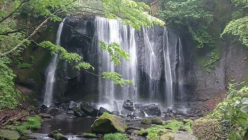 20260524_082813.jpg