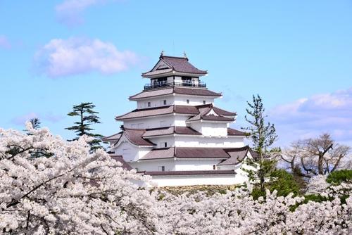 1405193_s.jpg