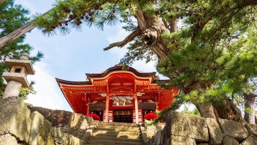 hinomisakijinja-2.jpg