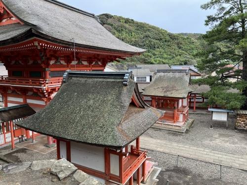 hinomisakijinja-3.jpg